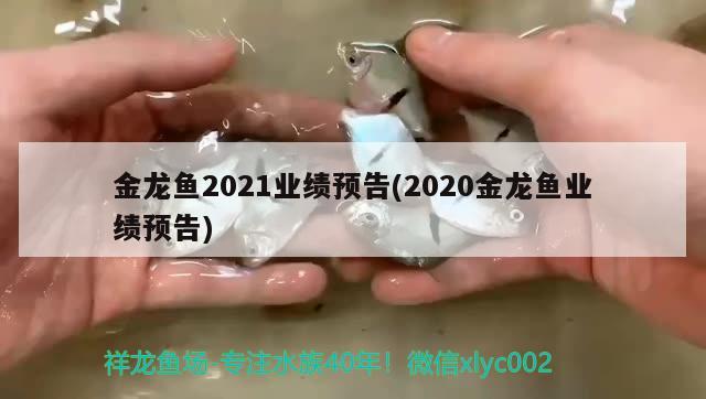 金龙鱼2021业绩预告(2020金龙鱼业绩预告)