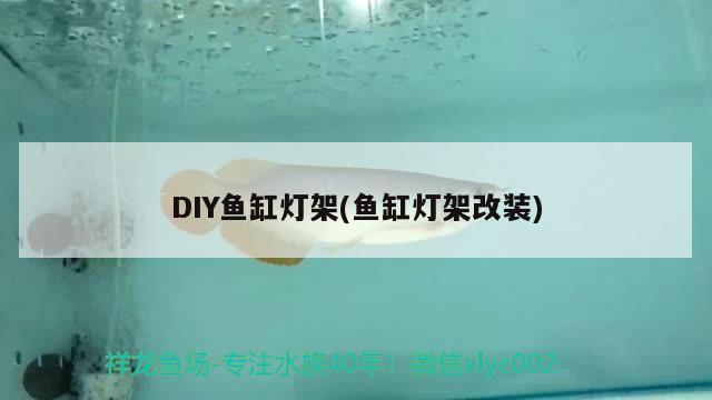 DIY鱼缸灯架(鱼缸灯架改装)