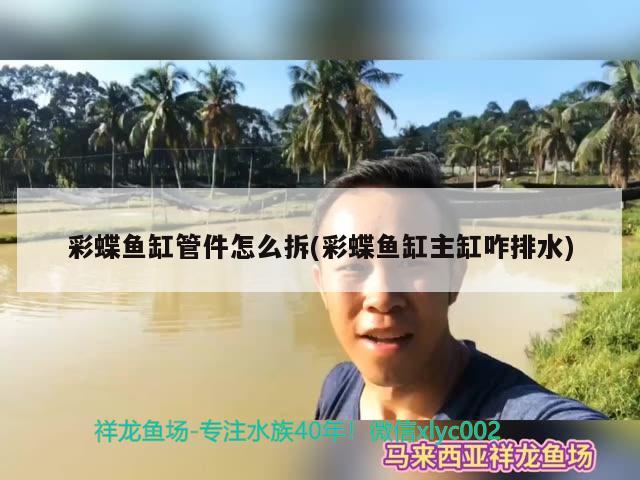 彩蝶鱼缸管件怎么拆(彩蝶鱼缸主缸咋排水) 观赏鱼鱼苗