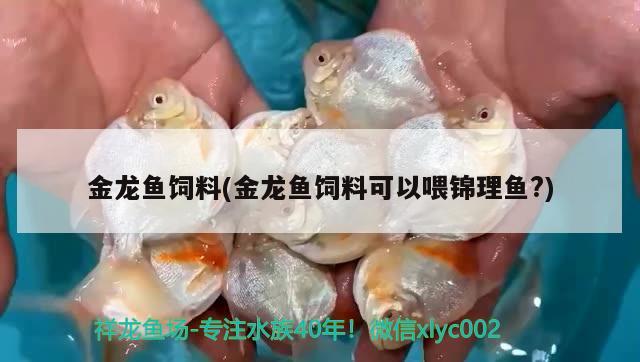 金龙鱼饲料(金龙鱼饲料可以喂锦理鱼?) 虎鱼鱼苗