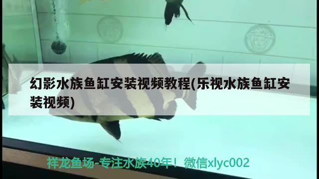 幻影水族鱼缸安装视频教程(乐视水族鱼缸安装视频)