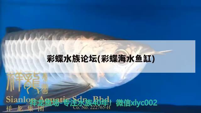 彩蝶水族论坛(彩蝶海水鱼缸) 海水鱼