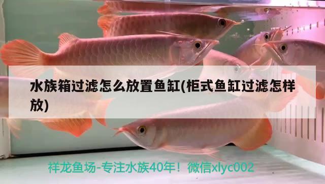 水族箱过滤怎么放置鱼缸(柜式鱼缸过滤怎样放) 鱼缸/水族箱