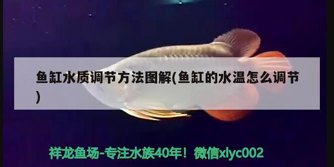 鱼缸水质调节方法图解(鱼缸的水温怎么调节) 水族杂谈