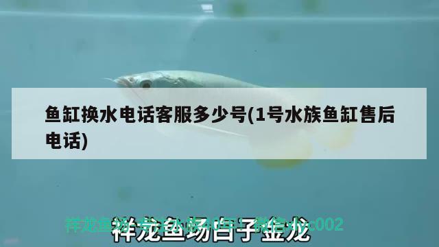 鱼缸换水电话客服多少号(1号水族鱼缸售后电话) 朱巴利鱼