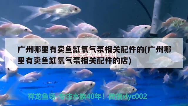 广州哪里有卖鱼缸氧气泵相关配件的(广州哪里有卖鱼缸氧气泵相关配件的店) 充氧泵 第3张