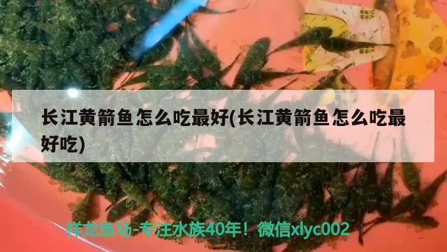 长江黄箭鱼怎么吃最好(长江黄箭鱼怎么吃最好吃) 水族杂谈