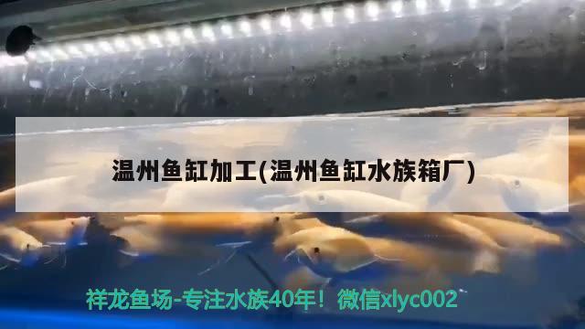 温州鱼缸加工(温州鱼缸水族箱厂) 鱼缸/水族箱