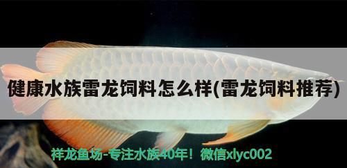 健康水族雷龙饲料怎么样(雷龙饲料推荐) 招财战船鱼