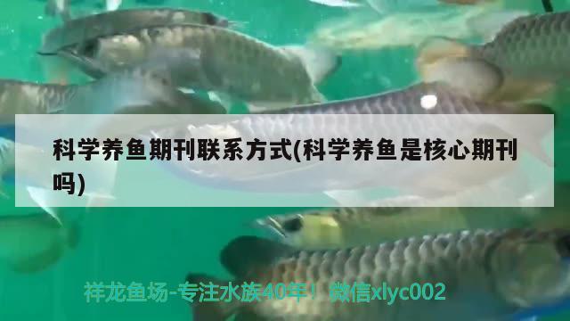 科学养鱼期刊联系方式(科学养鱼是核心期刊吗) 白玉红龙鱼