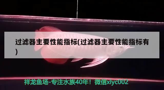 过滤器主要性能指标(过滤器主要性能指标有) 黄金斑马鱼