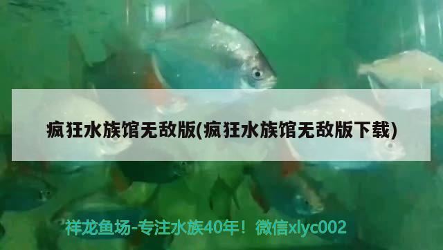 疯狂水族馆无敌版(疯狂水族馆无敌版下载) 一眉道人鱼