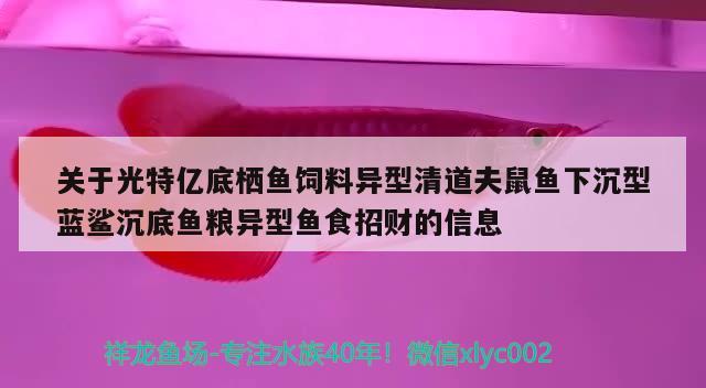 关于光特亿底栖鱼饲料异型清道夫鼠鱼下沉型蓝鲨沉底鱼粮异型鱼食招财的信息