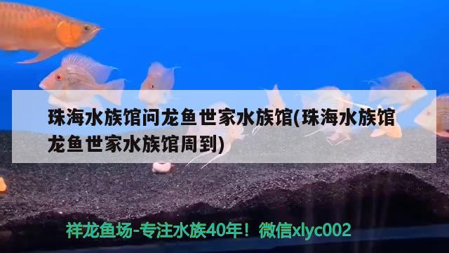 珠海水族馆问龙鱼世家水族馆(珠海水族馆 龙鱼世家水族馆周到)