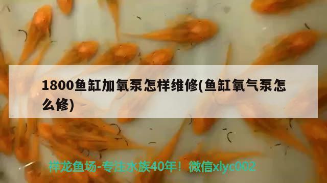 1800鱼缸加氧泵怎样维修(鱼缸氧气泵怎么修) 观赏鱼饲料