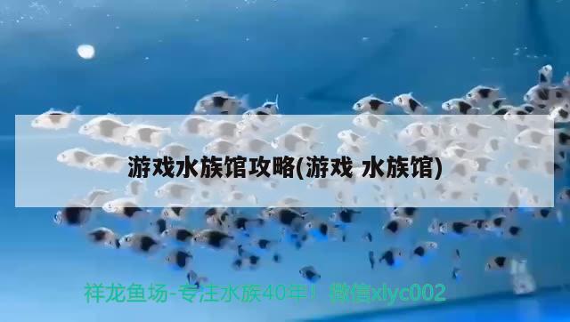 游戏水族馆攻略(游戏 水族馆)