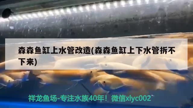 森森鱼缸上水管改造(森森鱼缸上下水管拆不下来) 定时器/自控系统