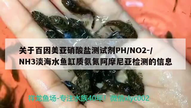 关于百因美亚硝酸盐测试剂PHNO2-NH3淡海水鱼缸质氨氮阿摩尼亚检测的信息 海水鱼