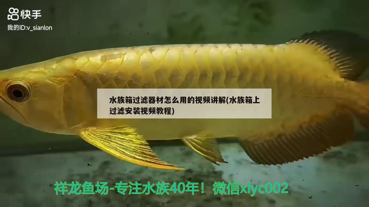 水族箱过滤器材怎么用的视频讲解(水族箱上过滤安装视频教程) 鱼缸/水族箱