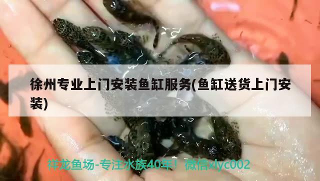 徐州专业上门安装鱼缸服务(鱼缸送货上门安装) 新加坡号半红龙鱼（练手级红龙鱼）