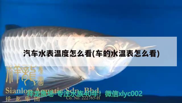 汽车水表温度怎么看(车的水温表怎么看) 广州祥龙国际水族贸易