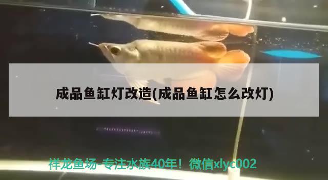 成品鱼缸灯改造(成品鱼缸怎么改灯) 眼斑鱼