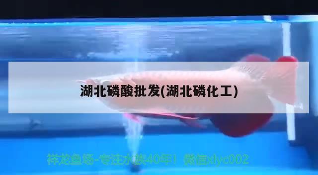 湖北磷酸批发(湖北磷化工) 水族杂谈