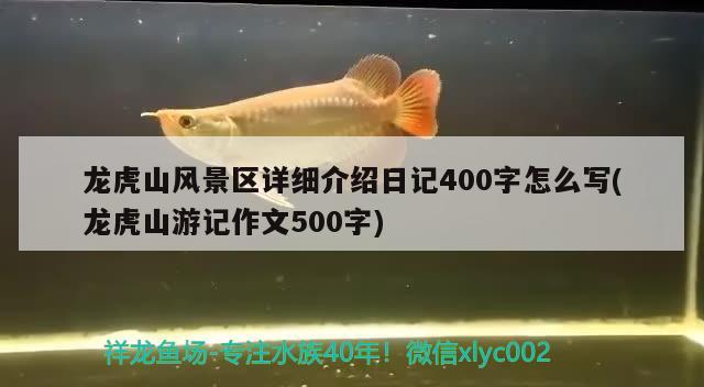 龙虎山风景区详细介绍日记400字怎么写(龙虎山游记作文500字) 全国水族馆企业名录