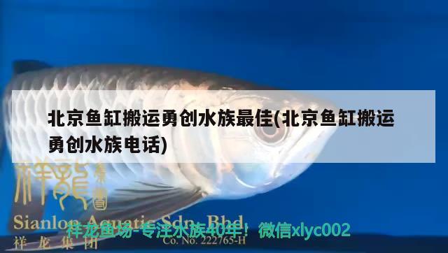 北京鱼缸搬运勇创水族最佳(北京鱼缸搬运勇创水族电话)