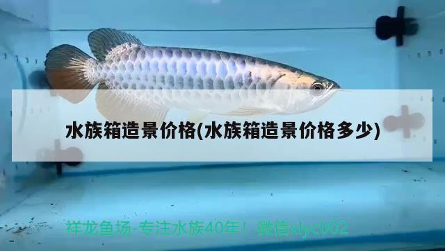 水族箱造景价格(水族箱造景价格多少) 鱼缸/水族箱