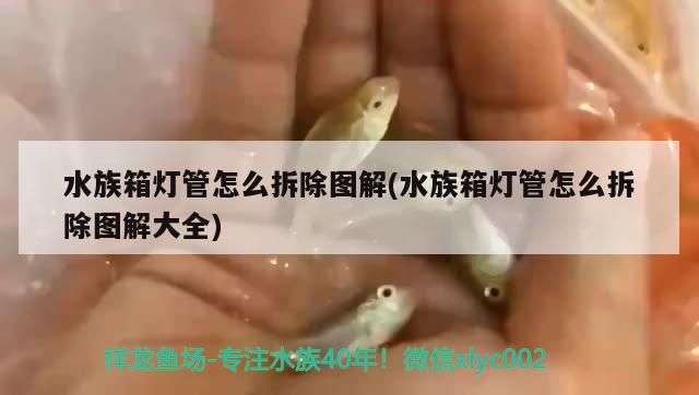 水族箱灯管怎么拆除图解(水族箱灯管怎么拆除图解大全)