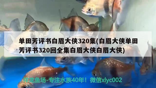 单田芳评书白眉大侠320集(白眉大侠单田芳评书320回全集白眉大侠白眉大侠)