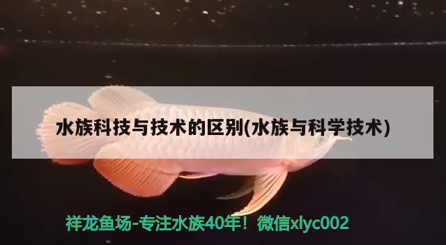 水族科技与技术的区别(水族与科学技术) 印尼小红龙