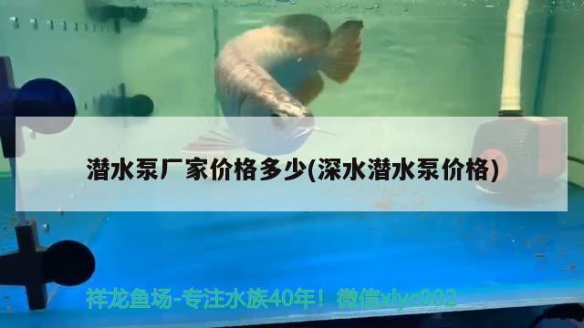 潜水泵厂家价格多少(深水潜水泵价格)