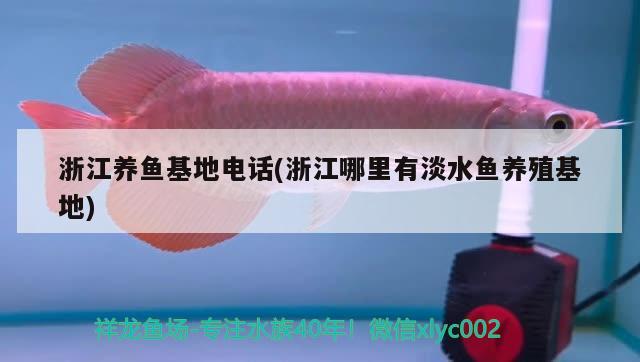 浙江养鱼电话(浙江哪里有淡水鱼养殖) 杀菌消毒设备