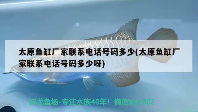 太原鱼缸厂家联系电话号码多少(太原鱼缸厂家联系电话号码多少呀)