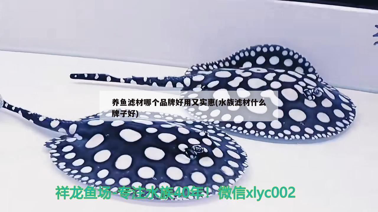 养鱼滤材哪个品牌好用又实惠(水族滤材什么牌子好)