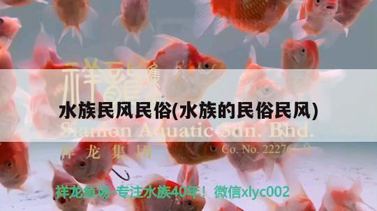 水族民风民俗(水族的民俗民风) 祥龙水族滤材/器材