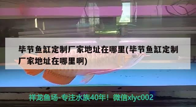 毕节鱼缸定制厂家地址在哪里(毕节鱼缸定制厂家地址在哪里啊) 熊猫异形鱼L46