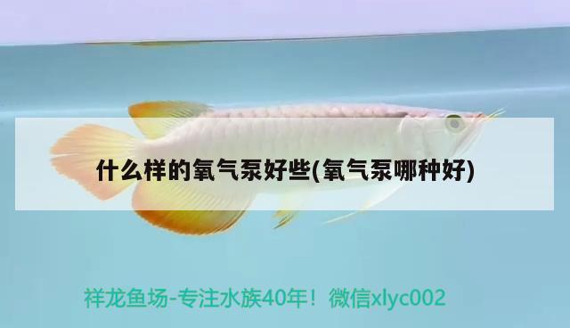 什么样的氧气泵好些(氧气泵哪种好) 水族灯（鱼缸灯）