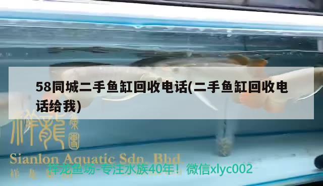 58同城二手鱼缸回收电话(二手鱼缸回收电话给我) 祥龙水族医院