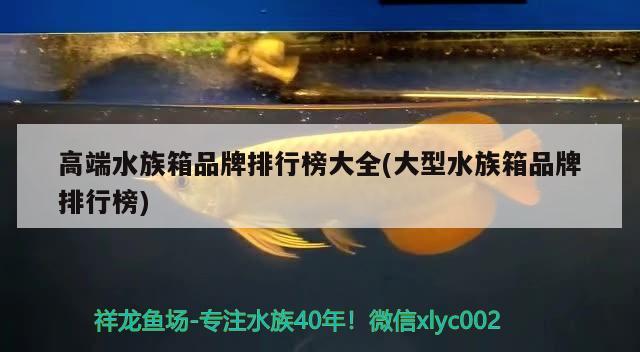 高端水族箱品牌排行榜大全(大型水族箱品牌排行榜) 鱼缸/水族箱