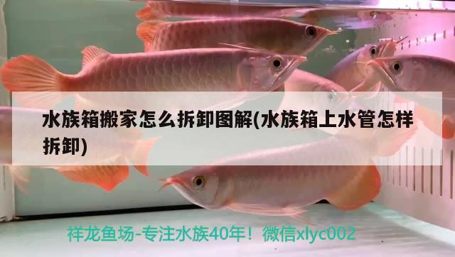 水族箱搬家怎么拆卸图解(水族箱上水管怎样拆卸)