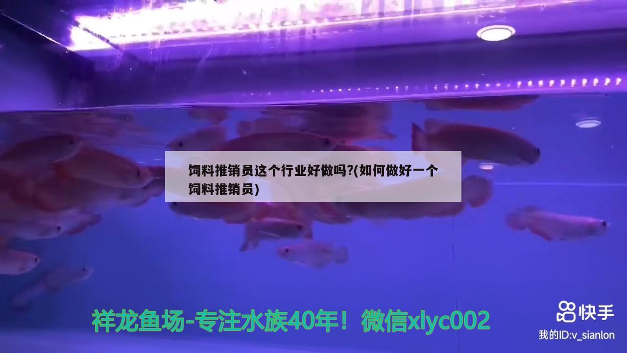 饲料推销员这个行业好做吗？(如何做好一个饲料推销员) 元宝凤凰鱼专用鱼粮