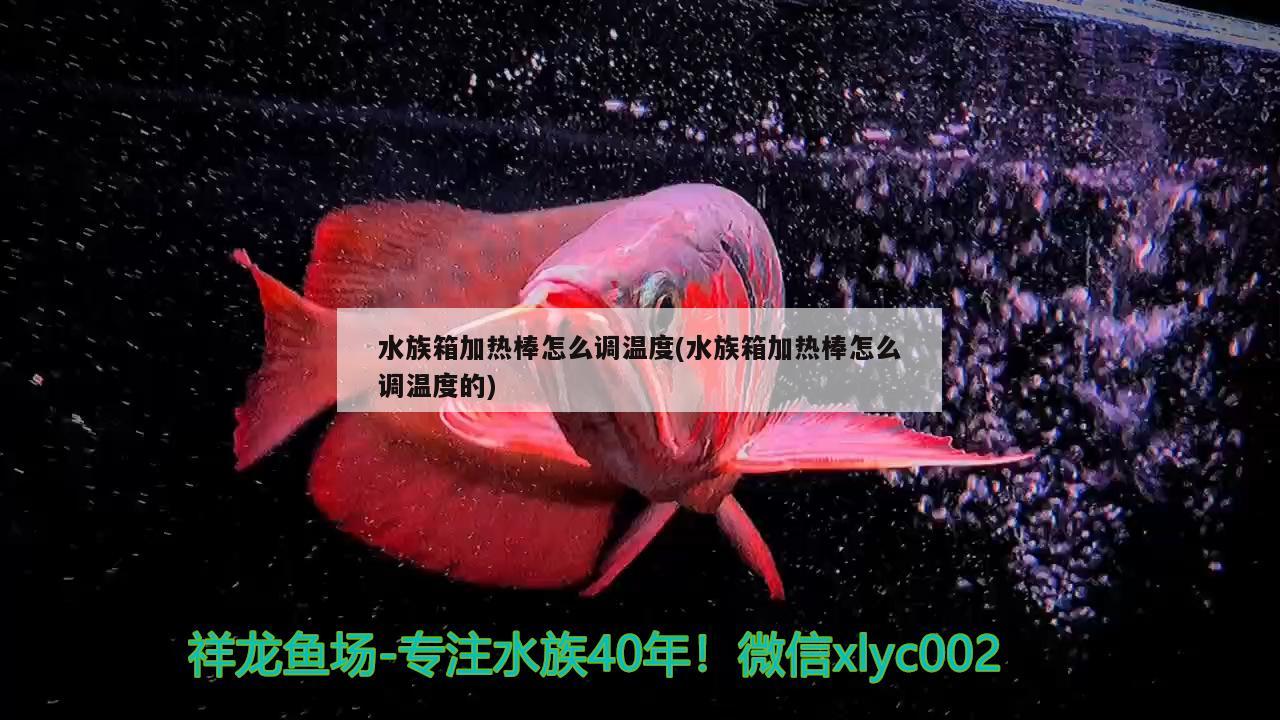 水族箱加热棒怎么调温度(水族箱加热棒怎么调温度的)