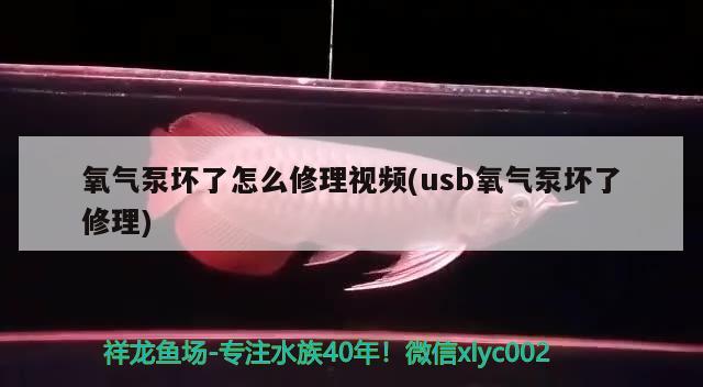 氧气泵坏了怎么修理视频(usb氧气泵坏了修理)