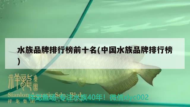 水族品牌排行榜前十名(中国水族品牌排行榜) 水族品牌