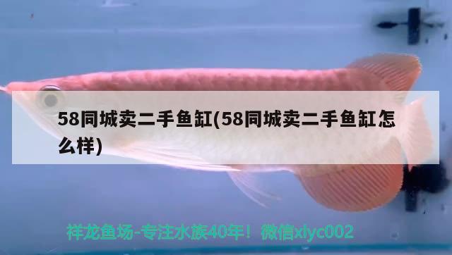 58同城卖二手鱼缸(58同城卖二手鱼缸怎么样) 广州祥龙国际水族贸易