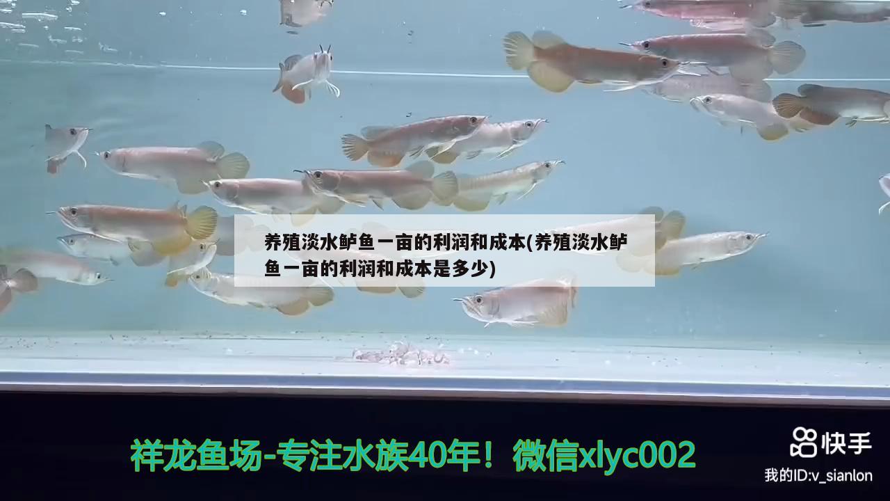 养殖淡水鲈鱼一亩的利润和成本(养殖淡水鲈鱼一亩的利润和成本是多少) 森森鱼缸