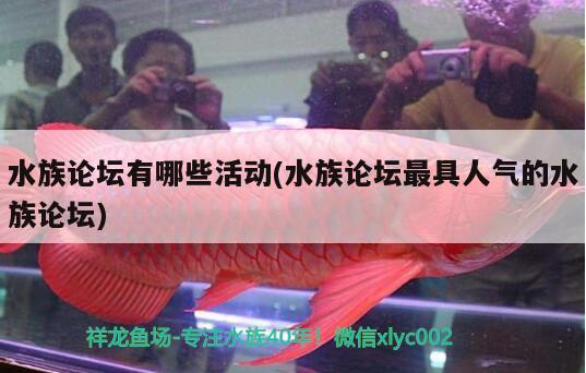 水族论坛有哪些活动(水族论坛最具人气的水族论坛) 观赏鱼